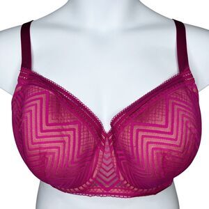 ThirdLove Graphic Mesh Demi Bra sz 38F * Magenta Pink Mesh Overlay Underwire Bra